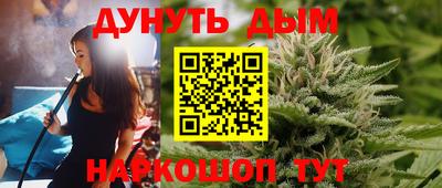бошки Кингисепп