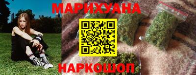 бошки Кингисепп