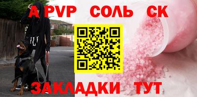 бошки Кингисепп