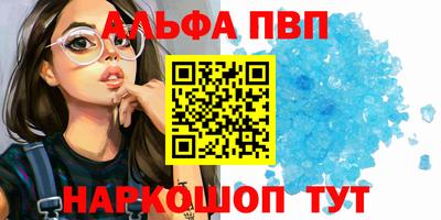 бошки Кингисепп
