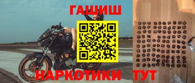 бошки Кингисепп